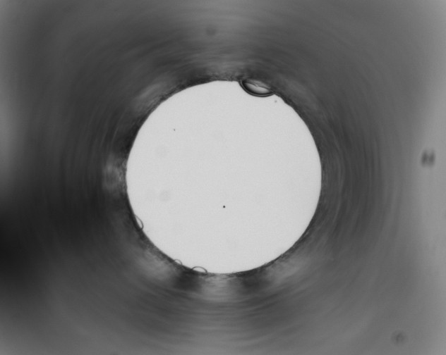 X0000100320432200807031215