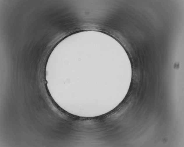 X0000100320433200807031214