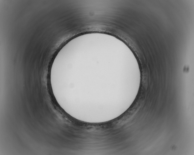 X0000100320434200807031214