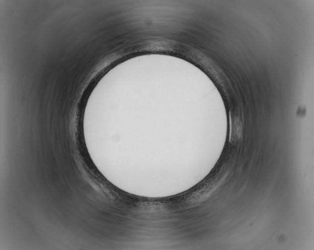 X0000100320435200807031214