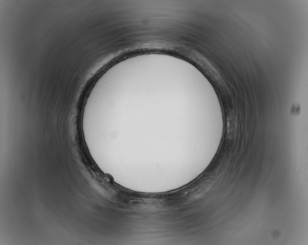 X0000100320436200807031214