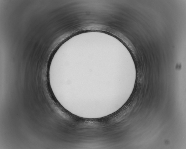 X0000100320437200807031214