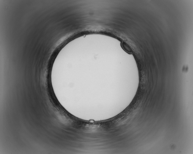 X0000100320440200807031214