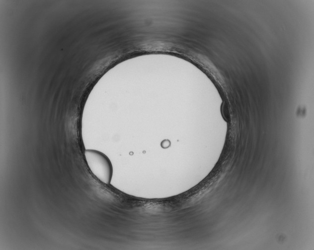 X0000100320441200807031214