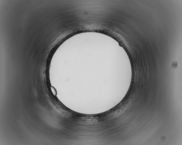 X0000100320443200807031214