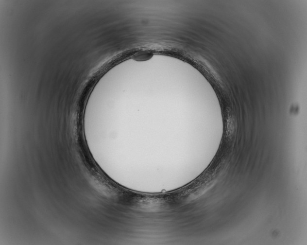 X0000100320444200807031215