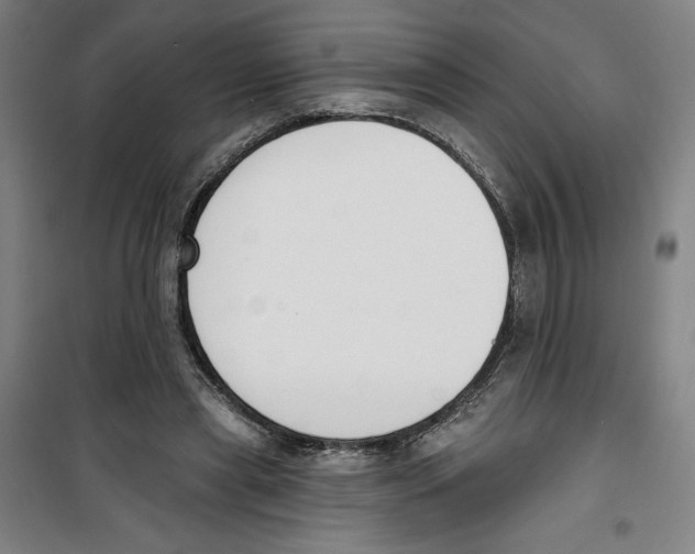 X0000100320445200807031215