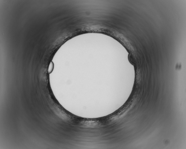 X0000100320449200807031215