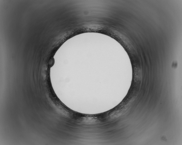 X0000100320451200807031215