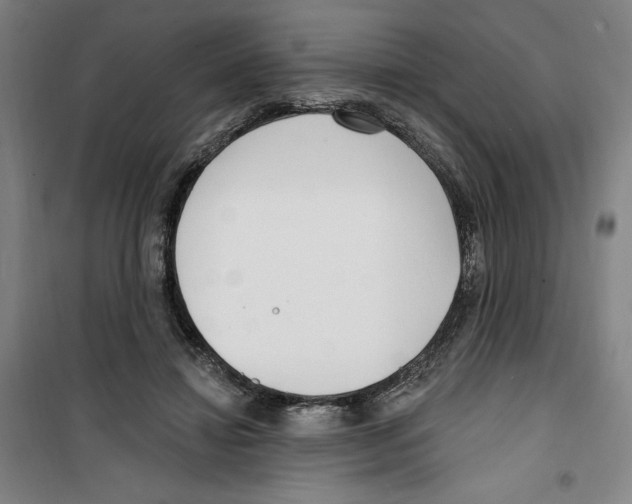 X0000100320452200807031215