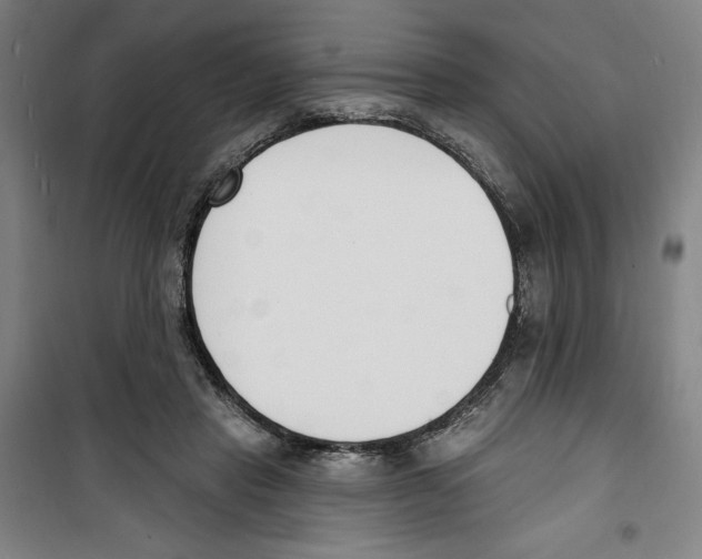 X0000100320453200807031215