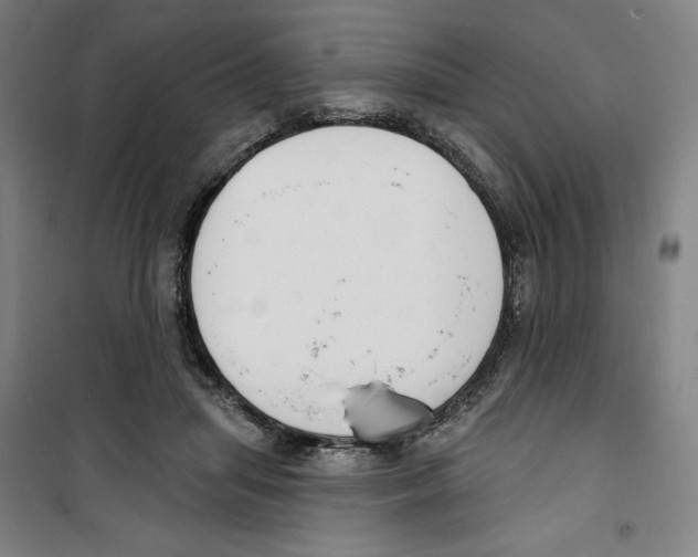 X0000100320455200807031215