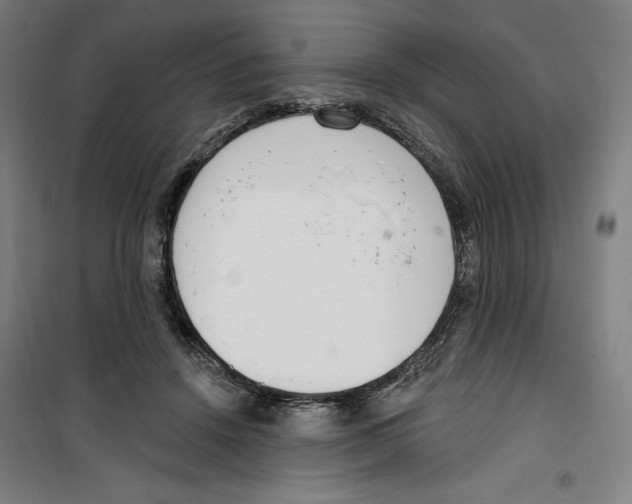 X0000100320456200807031215