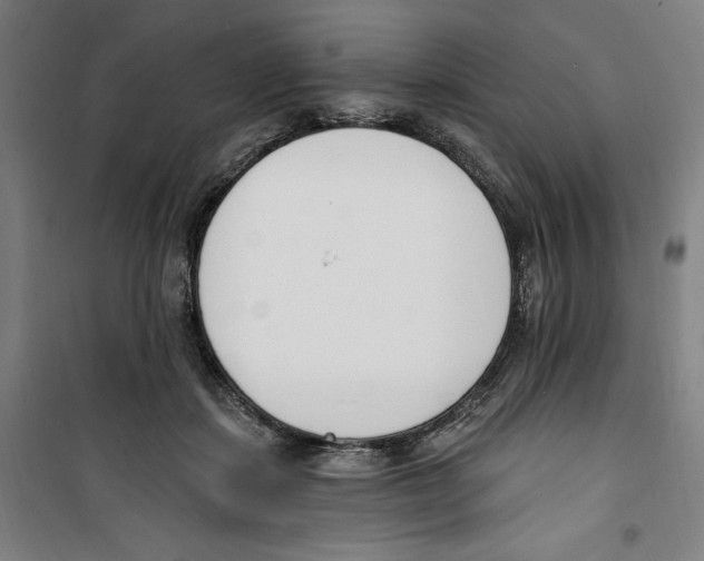 X0000100320459200807031215