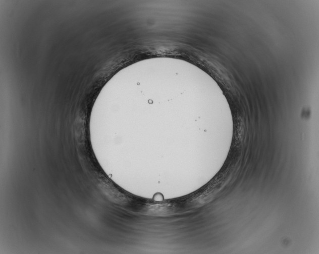 X0000100320461200807031215