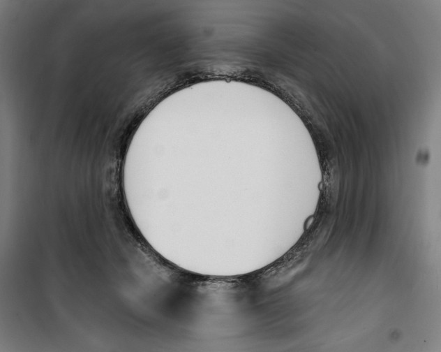 X0000100320462200807031215