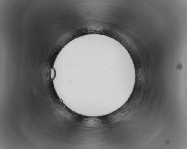 X0000100320463200807031215