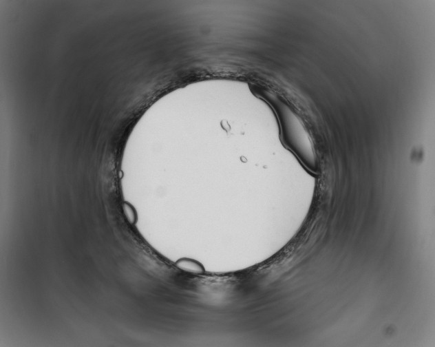 X0000100320465200807031215