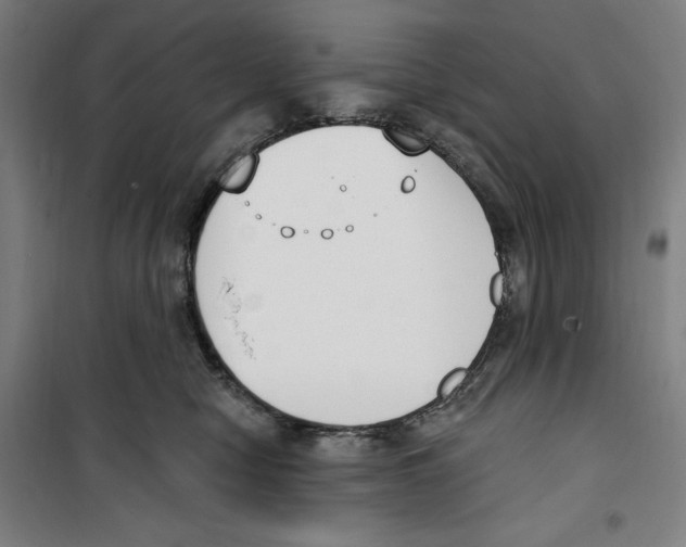 X0000100320470200807031215