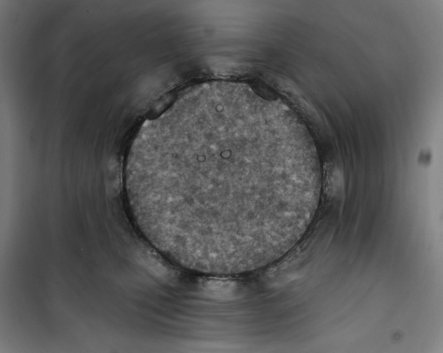 X0000100320471200807031215