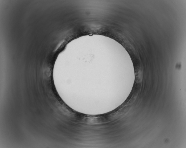 X0000100320472200807031215