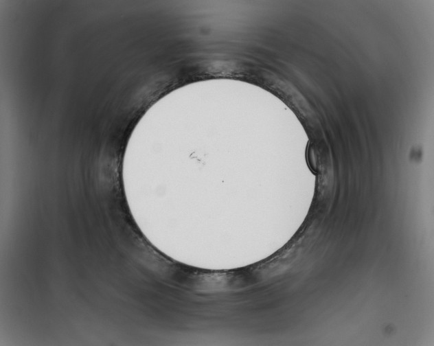 X0000100320473200807031215