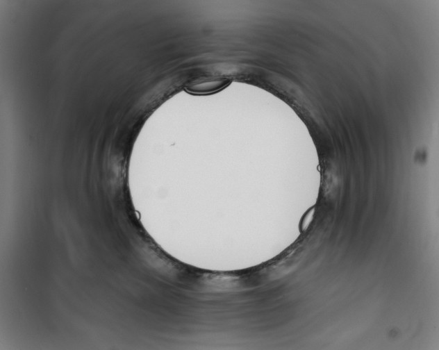 X0000100320476200807031215