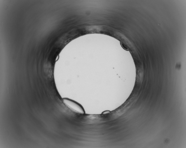 X0000100320477200807031215