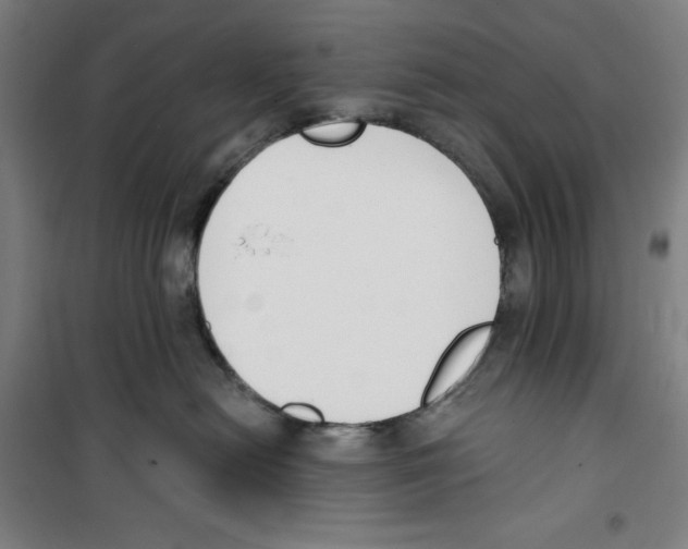 X0000100320478200807031215