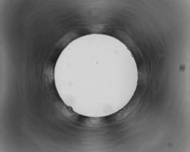 X0000100320479200807031215