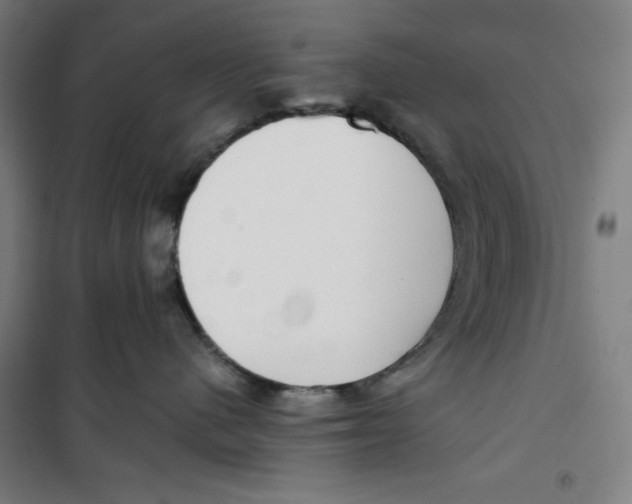 X0000100320480200807031215