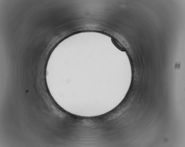 X0000100320481200807031214