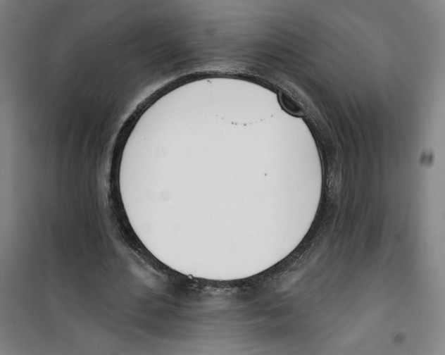 X0000100320484200807031214