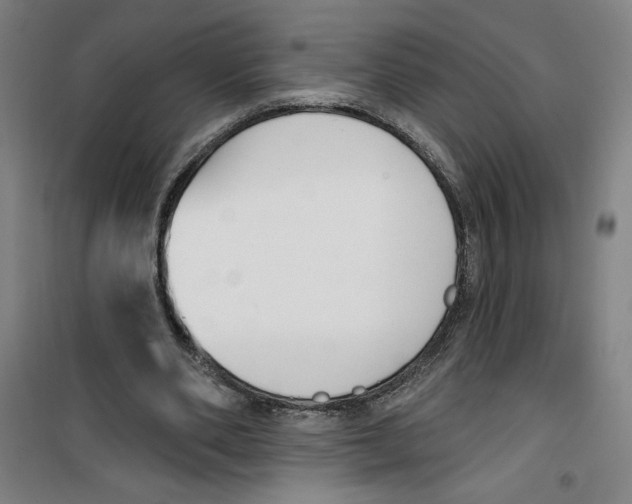 X0000100320486200807031214