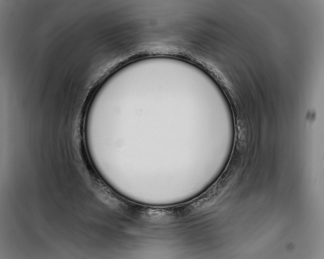 X0000100320487200807031214