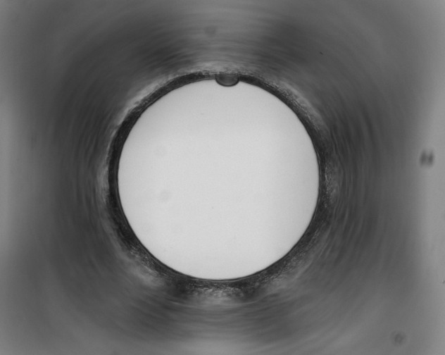 X0000100320488200807031214