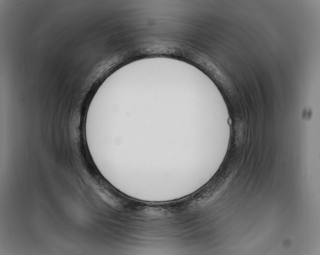 X0000100320490200807031214