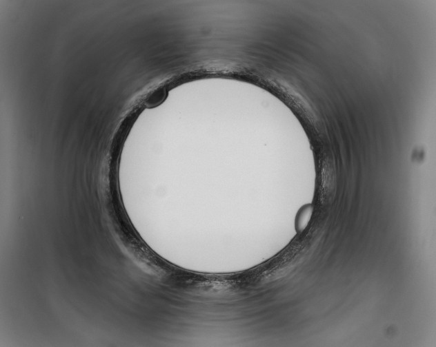 X0000100320492200807031214