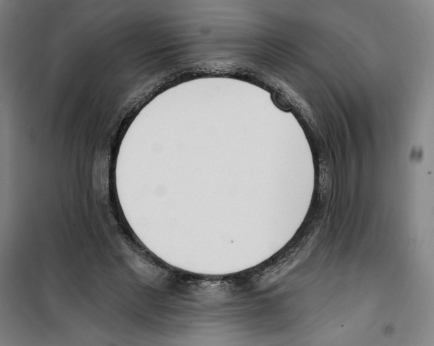 X0000100320493200807031214