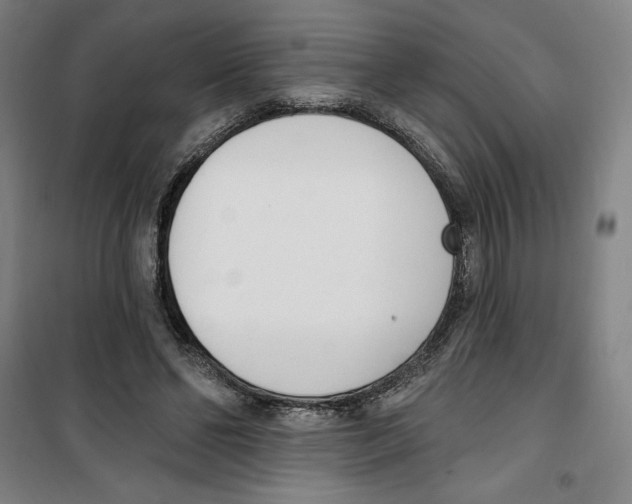 X0000100320494200807031214