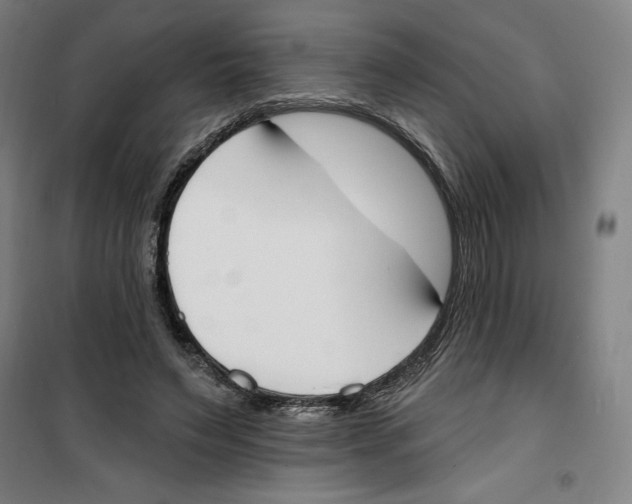 X0000100320495200807031214