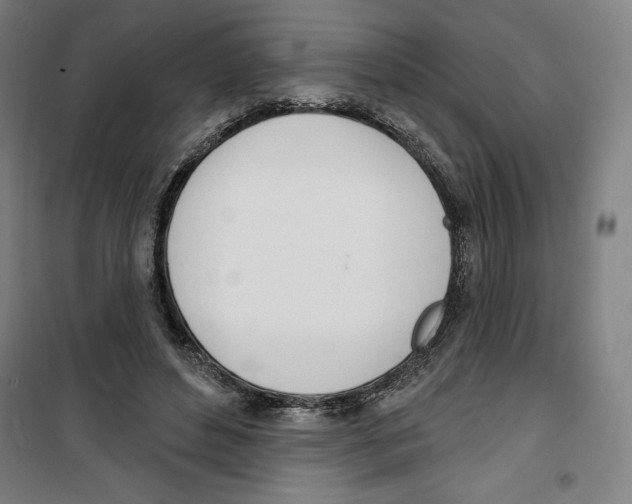 X0000100320496200807031214