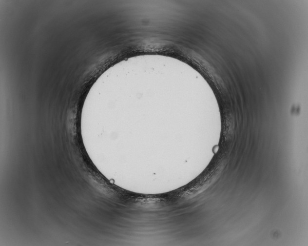 X0000100320497200807031214