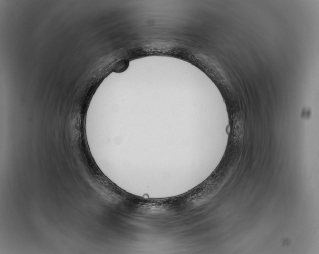 X0000100320498200807031214