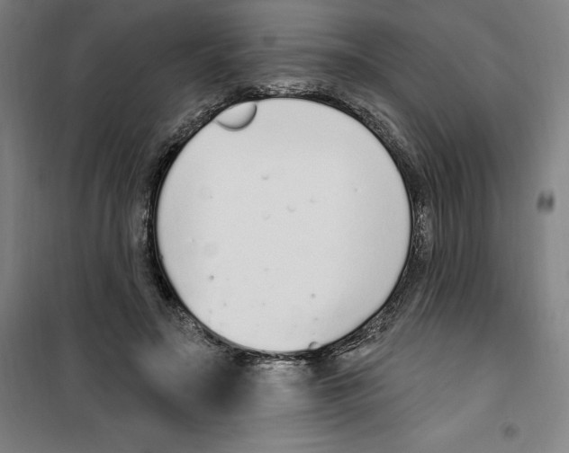 X0000100320499200807031214