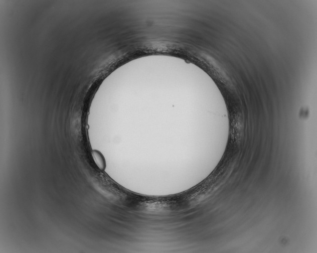 X0000100320500200807031214