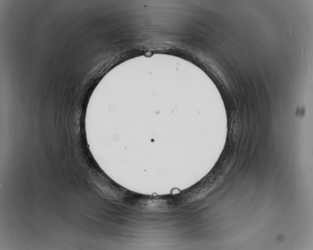 X0000100320501200807031214