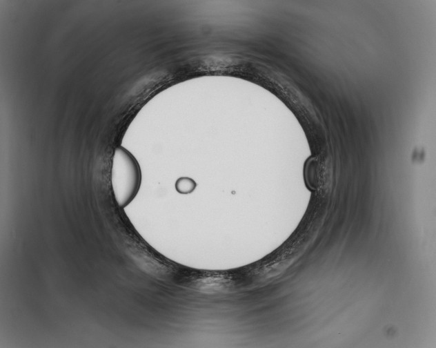 X0000100320505200807031214