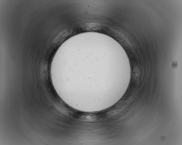 X0000100320506200807031214