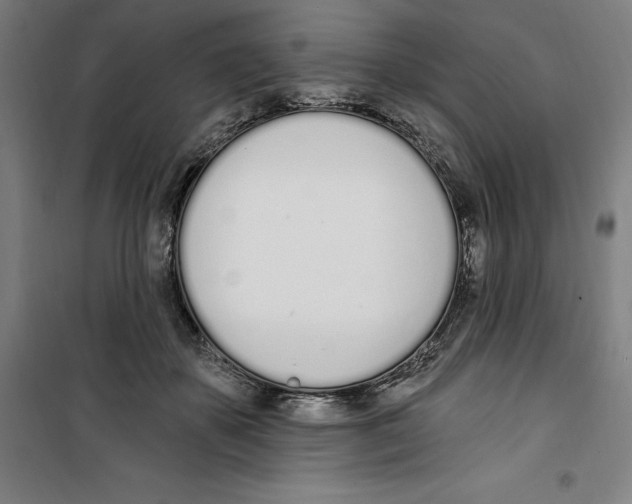 X0000100320507200807031214